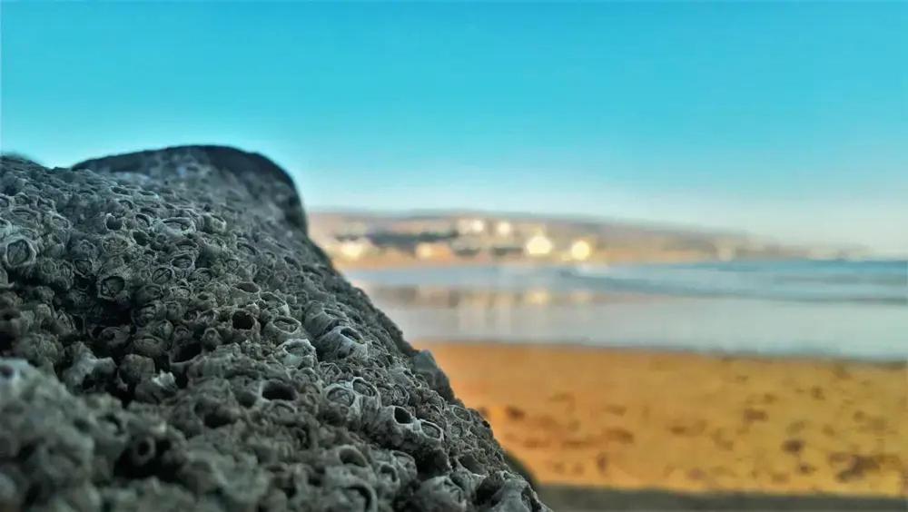 Baya House Sea View Apartment Agadir Exterior foto